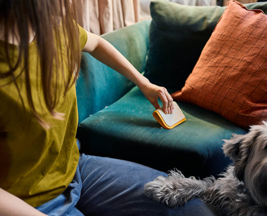 [hidden] [lifestyle] CleanTech™ 3-in-1 Pet Hair Cleaning Tool